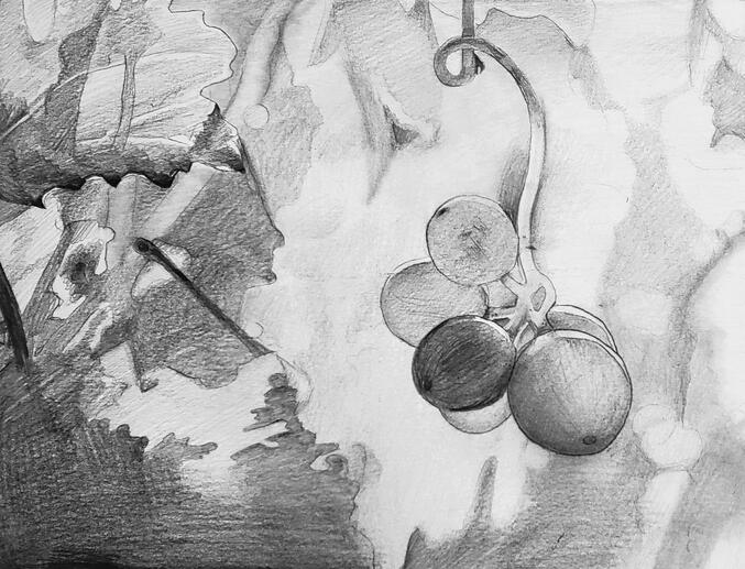 graphite study / classwork